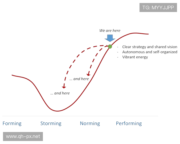 逆境中的共振力：解析高水平足球团队协作的心理与技术双驱模式